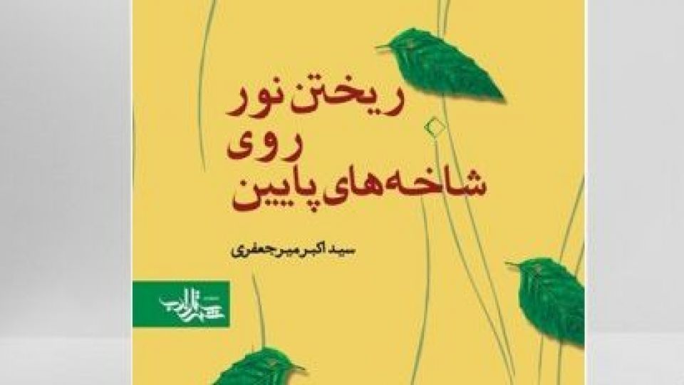 لذت بردن از تماشای لحظه های زندگی