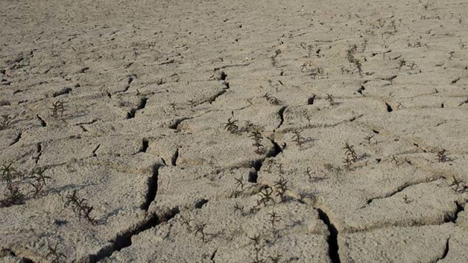 سالانه دو میلیارد تن از خاک کشور بر اثر فرسایش از دست میرود سالانه دو میلیارد تن از خاک کشور بر اثر فرسایش از دست میرود