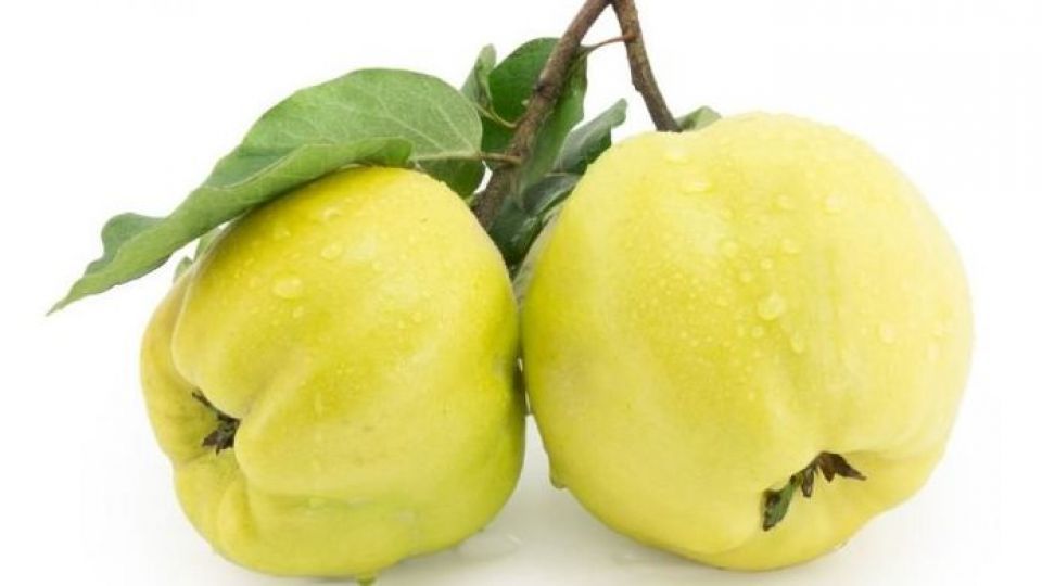 Image result for ‫به‬‎