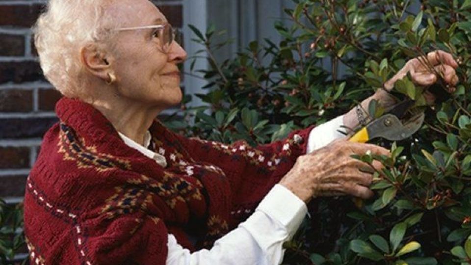 چه ویژگیهای شخصیتی عمر را طولانیتر میکنند؟ چه ویژگیهای شخصیتی عمر را طولانیتر میکنند؟