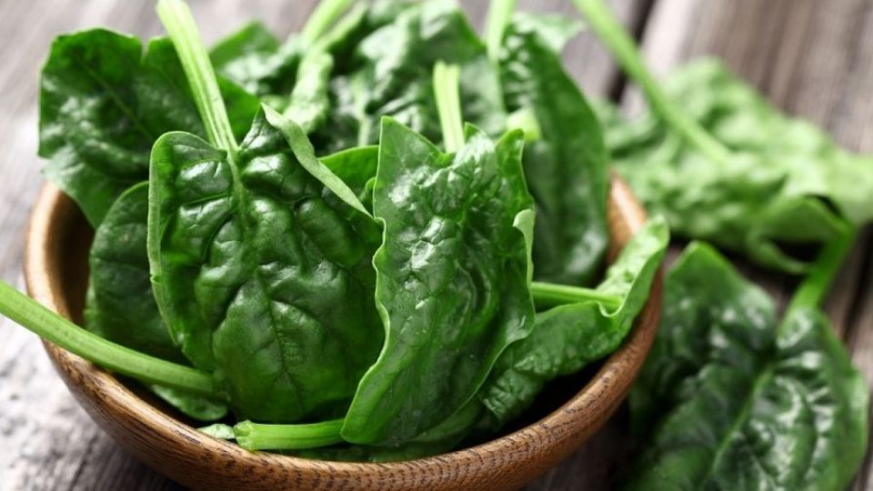 دیابت و فشارخون را با مصرف این سبزی درمان کنید + اینفوگرافی دیابت و فشارخون را با مصرف این سبزی درمان کنید + اینفوگرافی