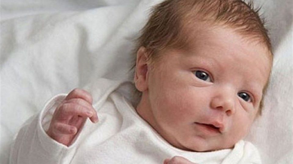 چه تعداد فرزند زوجها را خوشبخت میکند؟ چه تعداد فرزند زوجها را خوشبخت میکند؟