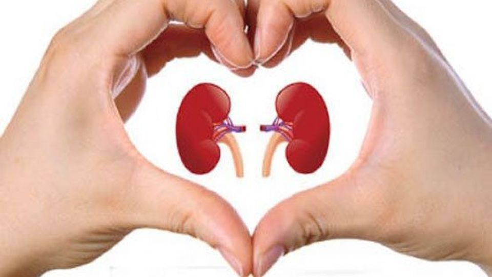 شرط داشتن کلیه های سالم شرط داشتن کلیه های سالم