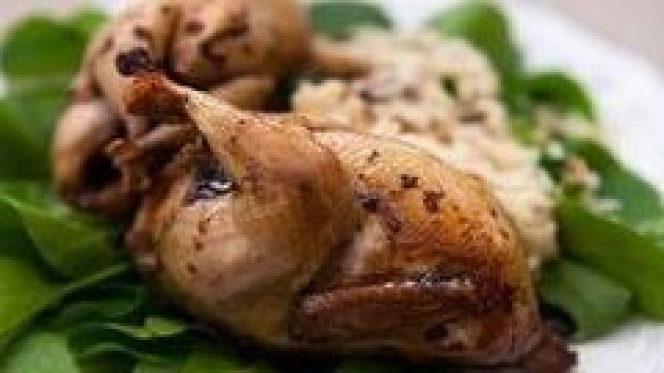 فواید عالی گوشت بلدرچین فواید عالی گوشت بلدرچین