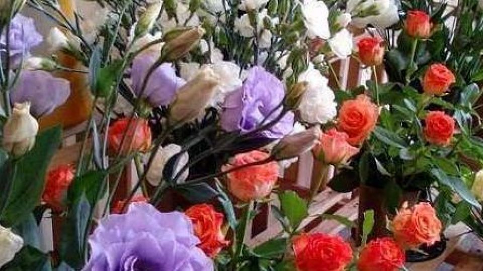 افزایش ۵۰ درصدی قیمت گل در روز زن افزایش ۵۰ درصدی قیمت گل در روز زن