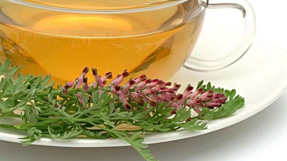 تصفیه خون با گیاهی دارویی تصفیه خون با گیاهی دارویی