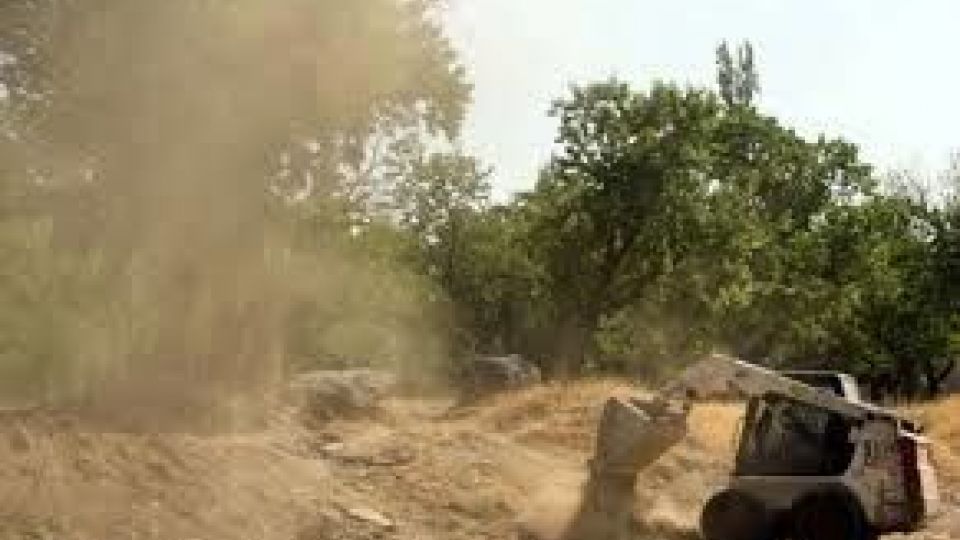 تخریب باغات تهران بر گردن افراد سوجو است تخریب باغات تهران بر گردن افراد سوجو است