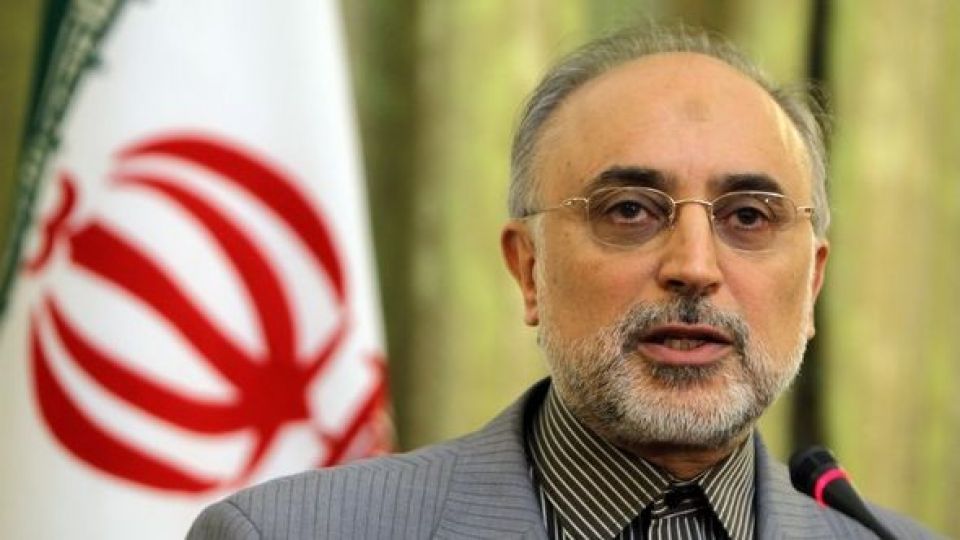 صالحی: برجام نمونه شاخص و مصداق بارزی است از اینکه آمریکایی ها واقعا قابل اطمینان نیستند صالحی: برجام نمونه شاخص و مصداق بارزی است از اینکه آمریکایی ها واقعا قابل اطمینان نیستند