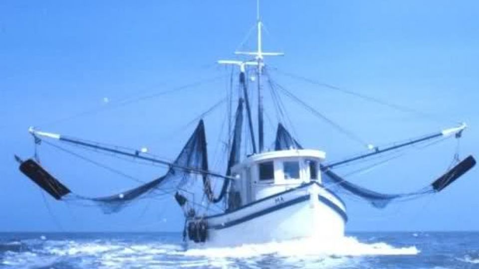 30 کشتی خارجی و چینی در آبهای ایران مشغول صید ماهی و آبزیان هستند/ نقش دلالان و رانت خواران 30 کشتی خارجی و چینی در آبهای ایران مشغول صید ماهی و آبزیان هستند/ نقش دلالان و رانت خواران