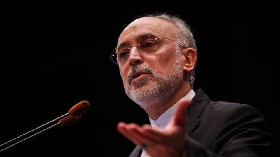 صالحی: حمله به سوریه ورشکستگی سیاست آمریکا را نشان میدهد صالحی: حمله به سوریه ورشکستگی سیاست آمریکا را نشان میدهد