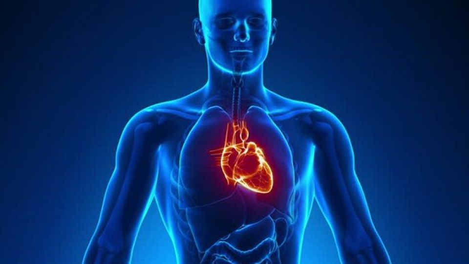 چند راز عجیب درباره بدن انسان چند راز عجیب درباره بدن انسان