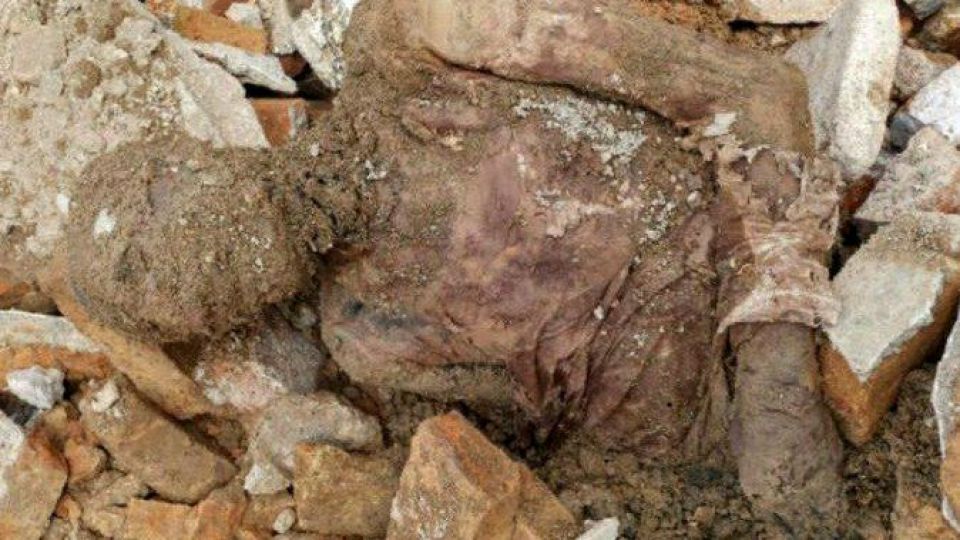 آیا جسد مربوط به رضاخان است؟/ جزئیات جدید از کشف مومیایی آیا جسد مربوط به رضاخان است؟/ جزئیات جدید از کشف مومیایی