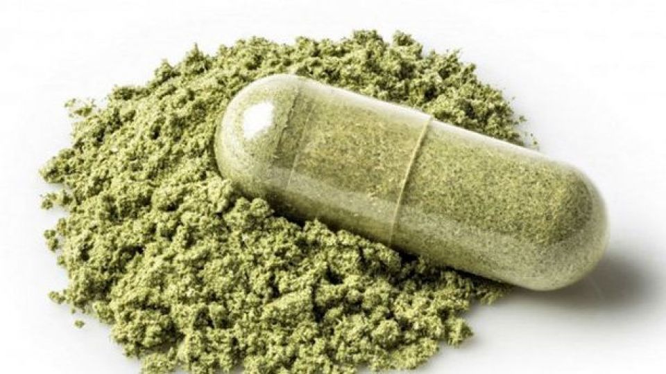 گلی نه از جنس شادی/ خانواده ها هوشیار باشند گلی نه از جنس شادی/ خانواده ها هوشیار باشند