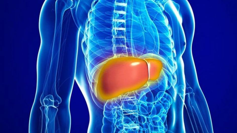 بهترین راه برای درمان کبد چرب بهترین راه برای درمان کبد چرب