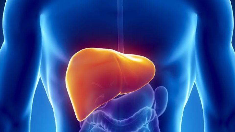 چند درصد ایرانیها کبد چرب دارند؟ چند درصد ایرانیها کبد چرب دارند؟