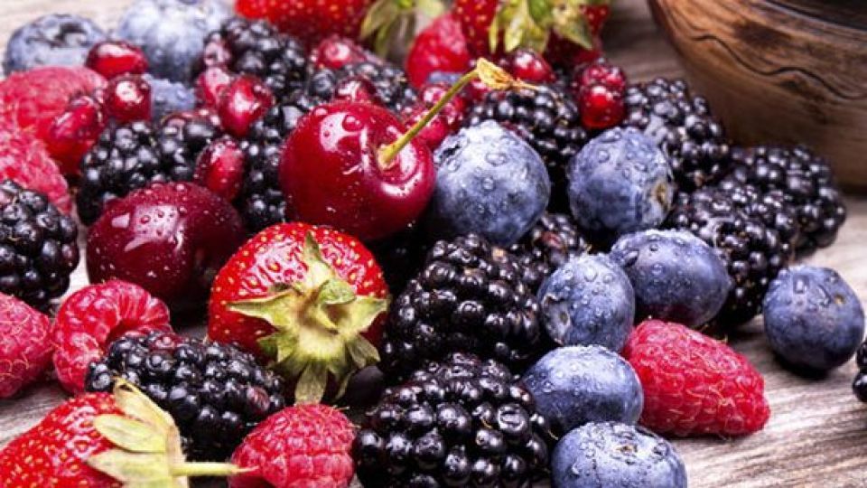 تاثیر توت و انگور بر سلامت ریهها تاثیر توت و انگور بر سلامت ریهها