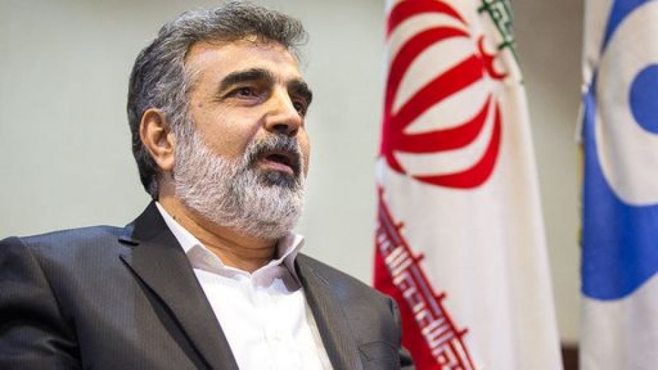 کمالوندی: ارتشِ سازمان انرژی اتمی گوش به فرمان است کمالوندی: ارتشِ سازمان انرژی اتمی گوش به فرمان است