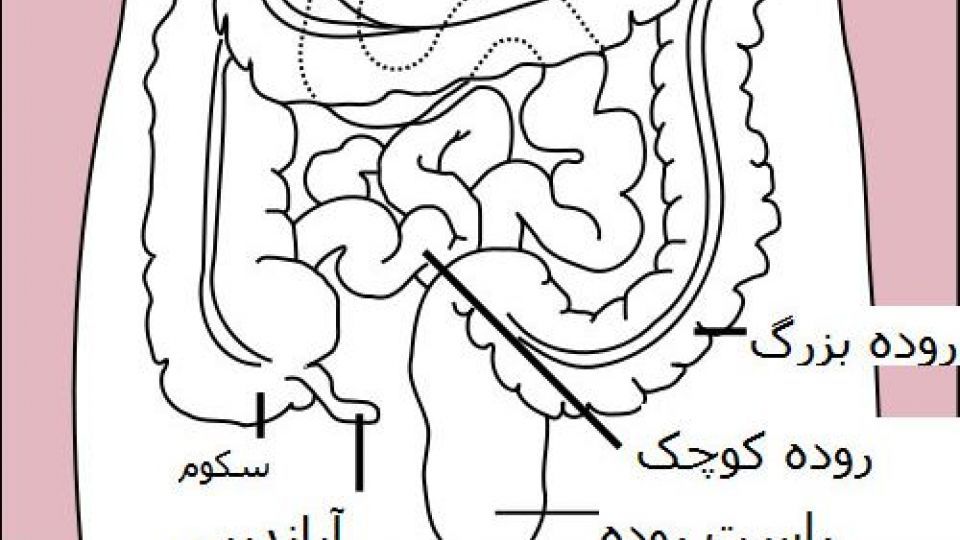 ضرغامی زیر تیغ جراحی / باز هم تشخیص غلط پزشکی ضرغامی زیر تیغ جراحی / باز هم تشخیص غلط پزشکی