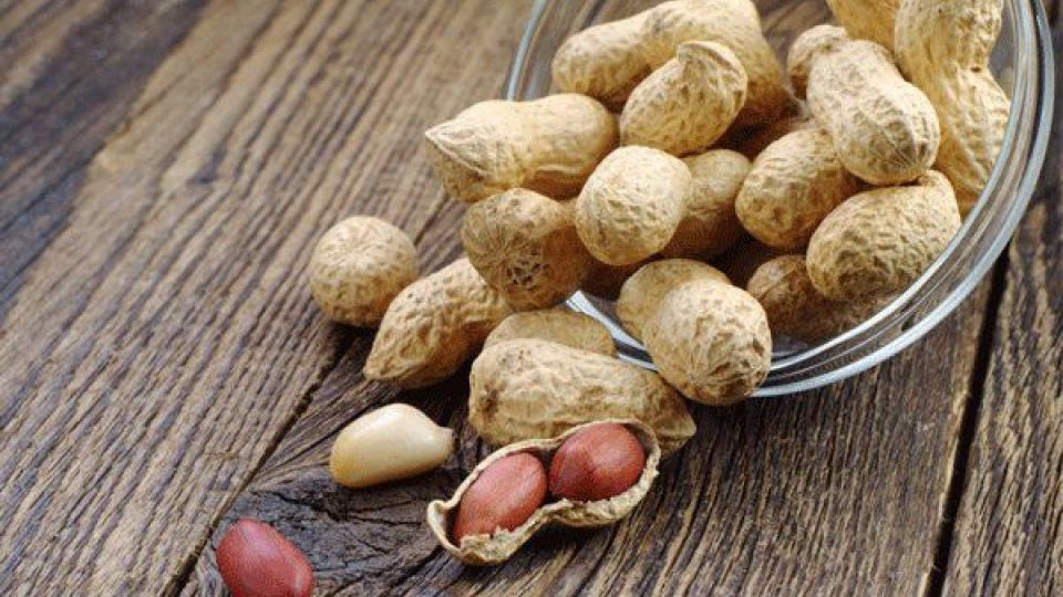 بهبود فشارخون و کاهش کلسترول با مصرف بادامزمینی بهبود فشارخون و کاهش کلسترول با مصرف بادامزمینی