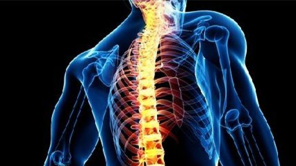 ارائه راهکاری برای پیشبینی خطر شکستن استخوان و مهرههای ستون فقرات ارائه راهکاری برای پیشبینی خطر شکستن استخوان و مهرههای ستون فقرات