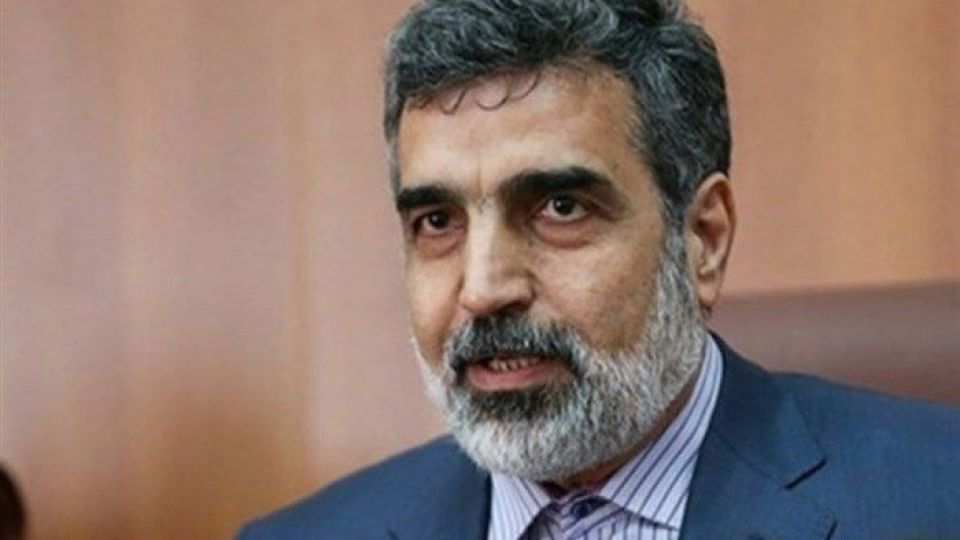 کمالوندی: اروپا باید تا پایان ماه میلادی جاری تصمیم خود را بگیرد کمالوندی: اروپا باید تا پایان ماه میلادی جاری تصمیم خود را بگیرد