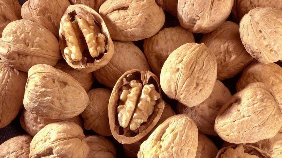 مصرف گردو و کاهش ابتلا به دیابت مصرف گردو و کاهش ابتلا به دیابت