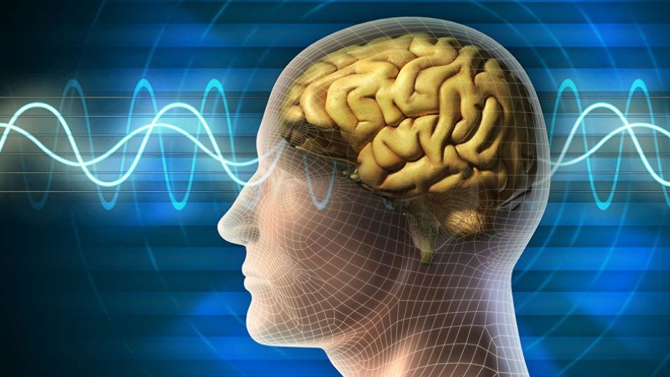 کشف یک قسمت جدید در مغز انسان کشف یک قسمت جدید در مغز انسان