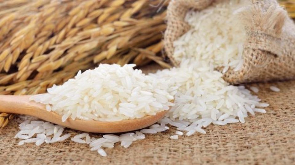 واردات 500 هزار تن برنج به بهانه تنظیم بازار شب عید / قدرت مافیا بر شورای اقتصاد و دولت می‌چربد؟