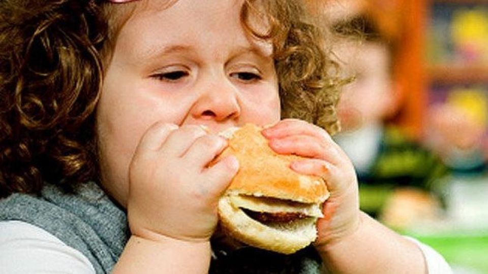 هشدار محققان: عوامل چاقی را بشناسید هشدار محققان: عوامل چاقی را بشناسید