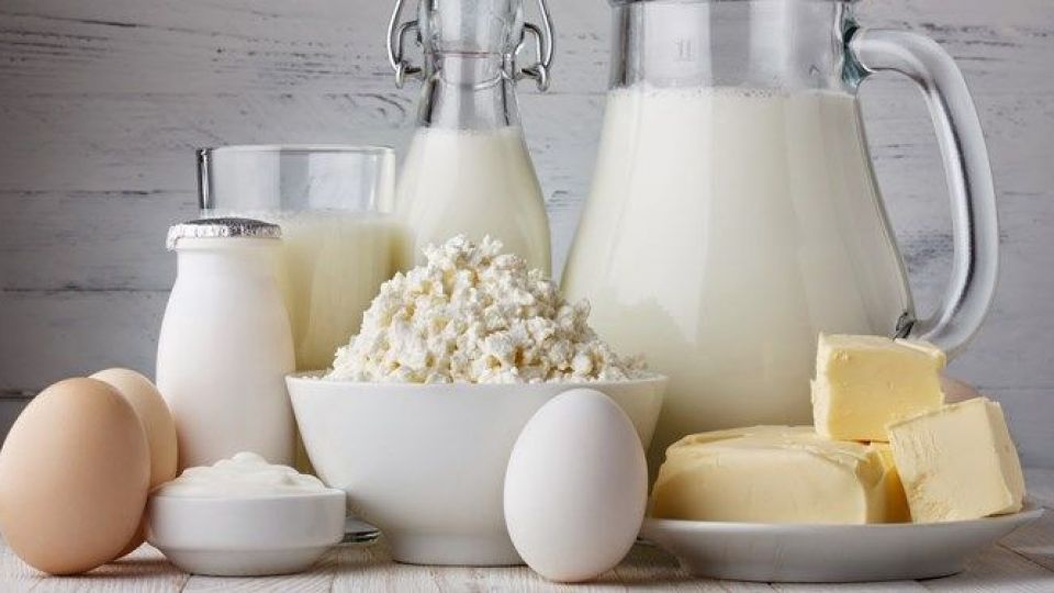 آمار نگران کننده مصرف شیر در کشور / آفلاتوکسین؛ ادعایی بیاساس آمار نگران کننده مصرف شیر در کشور / آفلاتوکسین؛ ادعایی بیاساس