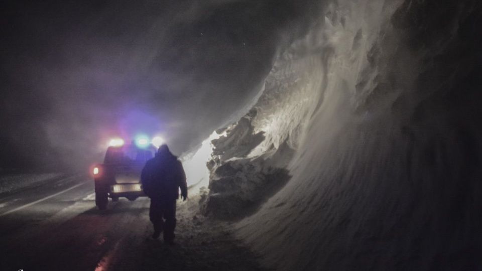 فرشتگان زمستانی فرشتگان زمستانی