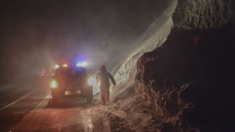 فرشتگان زمستانی فرشتگان زمستانی