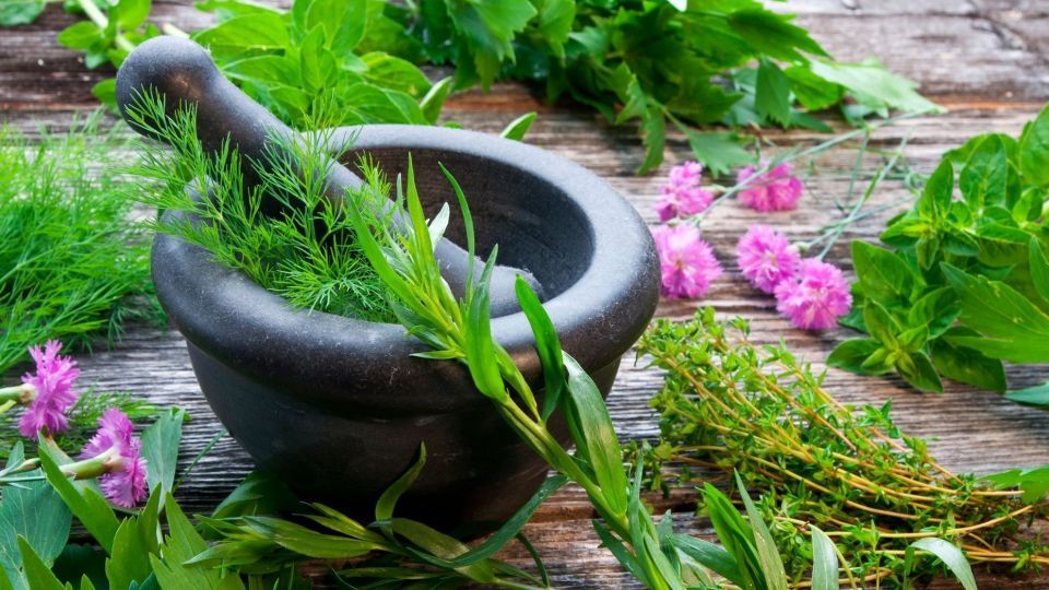 تأثیر گیاهان دارویی در کاهش اضطراب تأثیر گیاهان دارویی در کاهش اضطراب