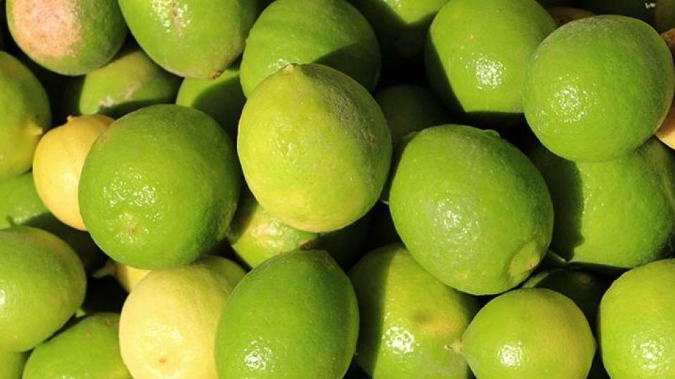 لیمو تحت شمول قانون مقابله با احتکار قرار گرفت