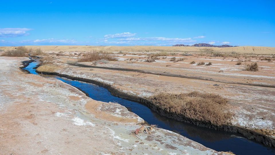 معضل زیست محیطی فاضلاب شهرک شکوهیه _قم معضل زیست محیطی فاضلاب شهرک شکوهیه _قم