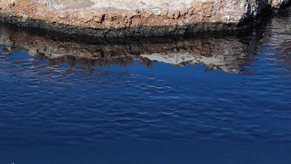 معضل زیست محیطی فاضلاب شهرک شکوهیه _قم معضل زیست محیطی فاضلاب شهرک شکوهیه _قم