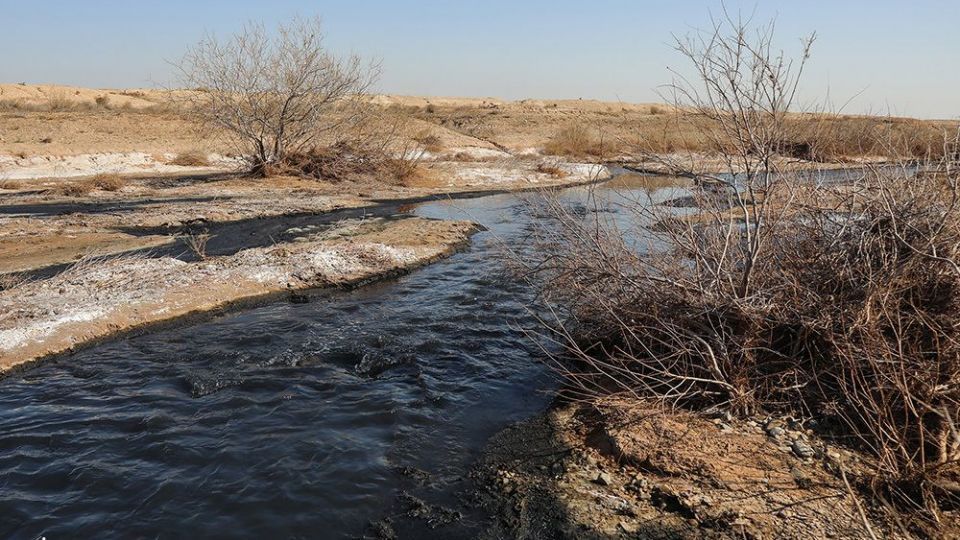 معضل زیست محیطی فاضلاب شهرک شکوهیه _قم معضل زیست محیطی فاضلاب شهرک شکوهیه _قم