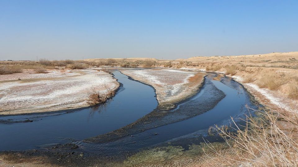 معضل زیست محیطی فاضلاب شهرک شکوهیه _قم معضل زیست محیطی فاضلاب شهرک شکوهیه _قم