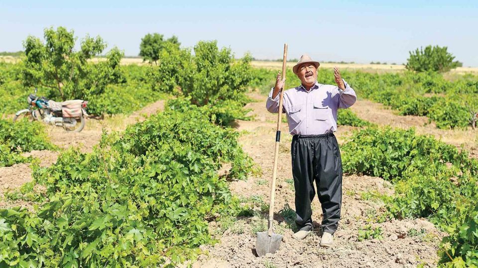 بازگشت آب به زرندیه پس از 23سال