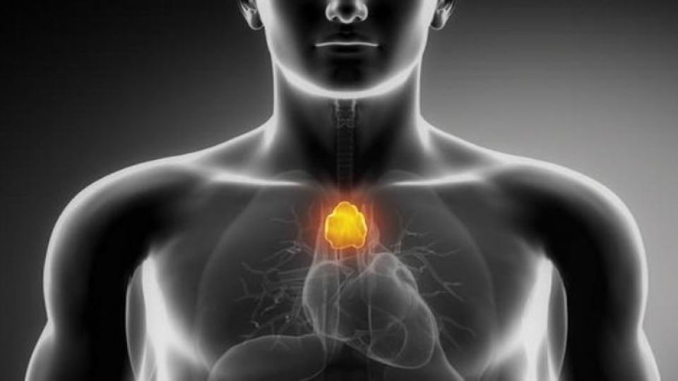 تفاوت کمکاری و پرکاری تیروئید چیست؟ تفاوت کمکاری و پرکاری تیروئید چیست؟