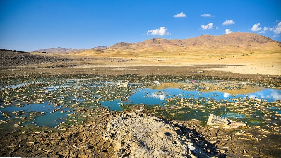 مرگ هزاران ماهی در سد سهرین زنجان مرگ هزاران ماهی در سد سهرین زنجان