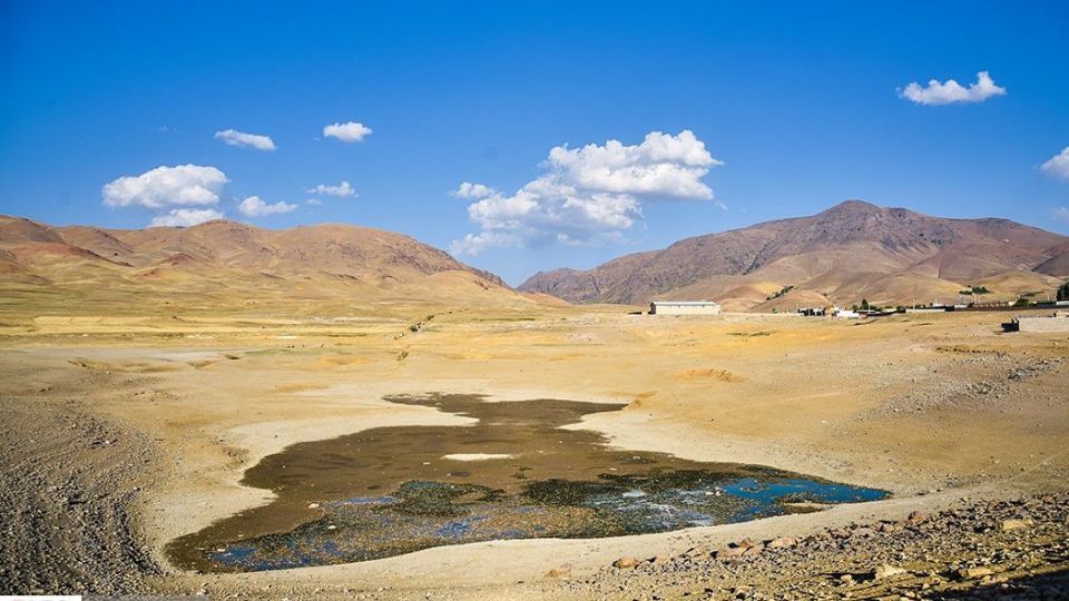 مرگ هزاران ماهی در سد سهرین زنجان مرگ هزاران ماهی در سد سهرین زنجان