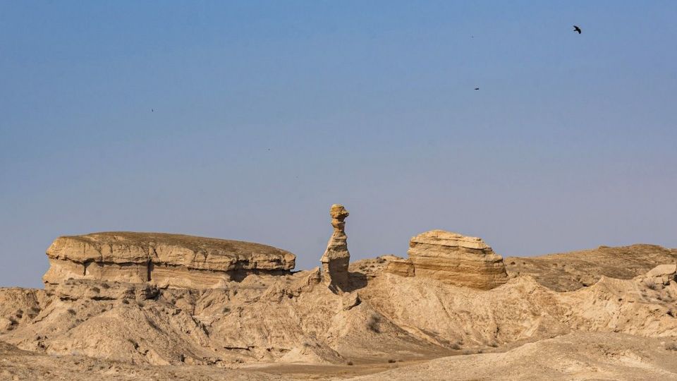 کلوت کوه مُند - بوشهر کلوت کوه مُند - بوشهر