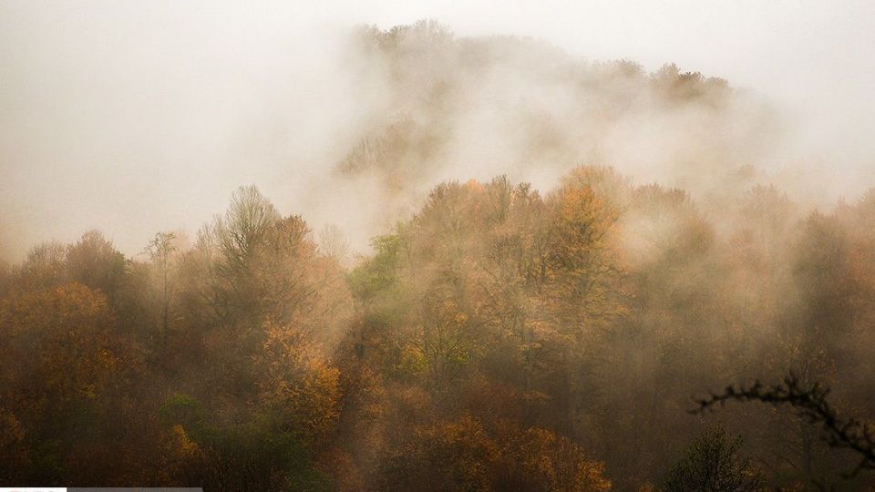 آخرین نفسهای پاییز در مازندران آخرین نفسهای پاییز در مازندران