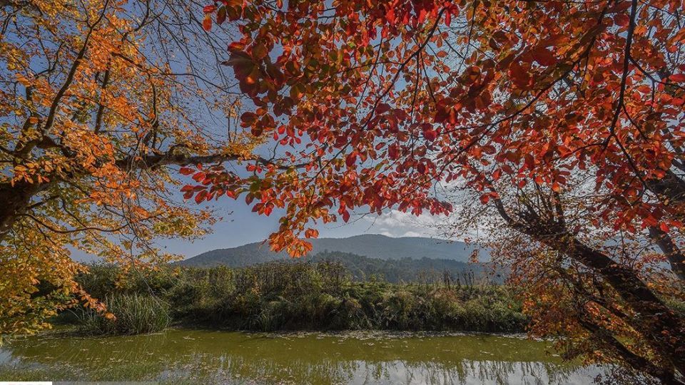 آخرین نفسهای پاییز در مازندران آخرین نفسهای پاییز در مازندران