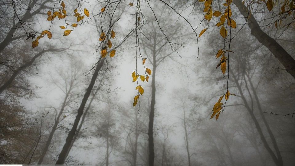 آخرین نفسهای پاییز در مازندران آخرین نفسهای پاییز در مازندران