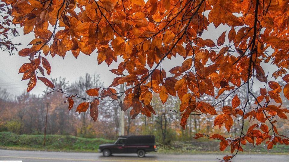 آخرین نفسهای پاییز در مازندران آخرین نفسهای پاییز در مازندران