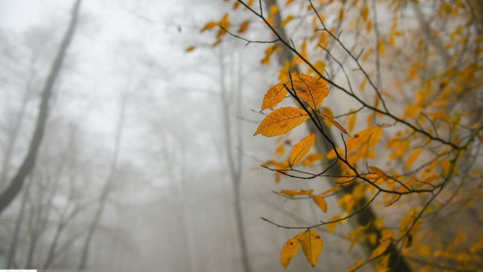 آخرین نفسهای پاییز در مازندران آخرین نفسهای پاییز در مازندران