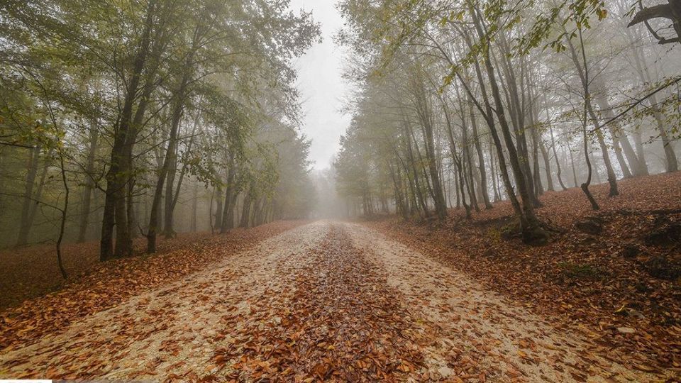 آخرین نفسهای پاییز در مازندران آخرین نفسهای پاییز در مازندران