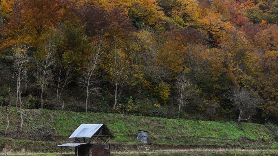 آخرین نفسهای پاییز در مازندران آخرین نفسهای پاییز در مازندران